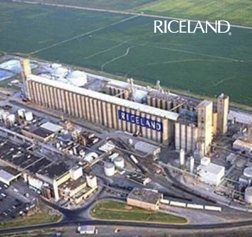 Riceland_Image